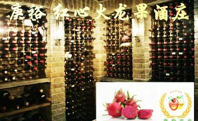 紅心火龍果紅酒/果酒;-朱白庚的圖片-企博網職業博客