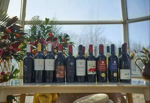 200畝農(nóng)場(chǎng),每年接待20萬人,收入4000萬,秘訣在哪