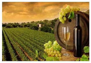 國(guó)外經(jīng)典度假小鎮(zhèn)案例解析 法國(guó)科瑪 colmar 意大利波托菲諾 portofino