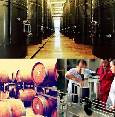 助力巴州文旅推介會(huì) 金恪罄玉酒莊打造休閑度假新業(yè)態(tài)