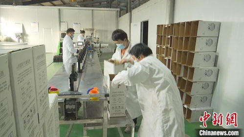 新疆昌吉葡萄酒企業忙 訂單 力爭實現首季 開門紅