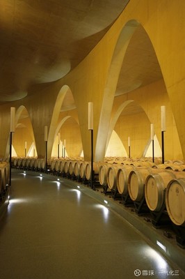Anti&oacute;n酒莊:提供完美葡萄酒體驗(yàn)的建筑藝術(shù)杰作