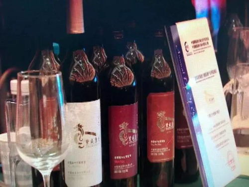 青銅峽葡萄酒 目標年產值200億元，讓世界為之傾倒的東方佳釀