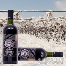 紫隆山紅寶石冰酒 品味時光凝萃，共創財富未來——通化紫隆山葡萄酒廠火熱招商